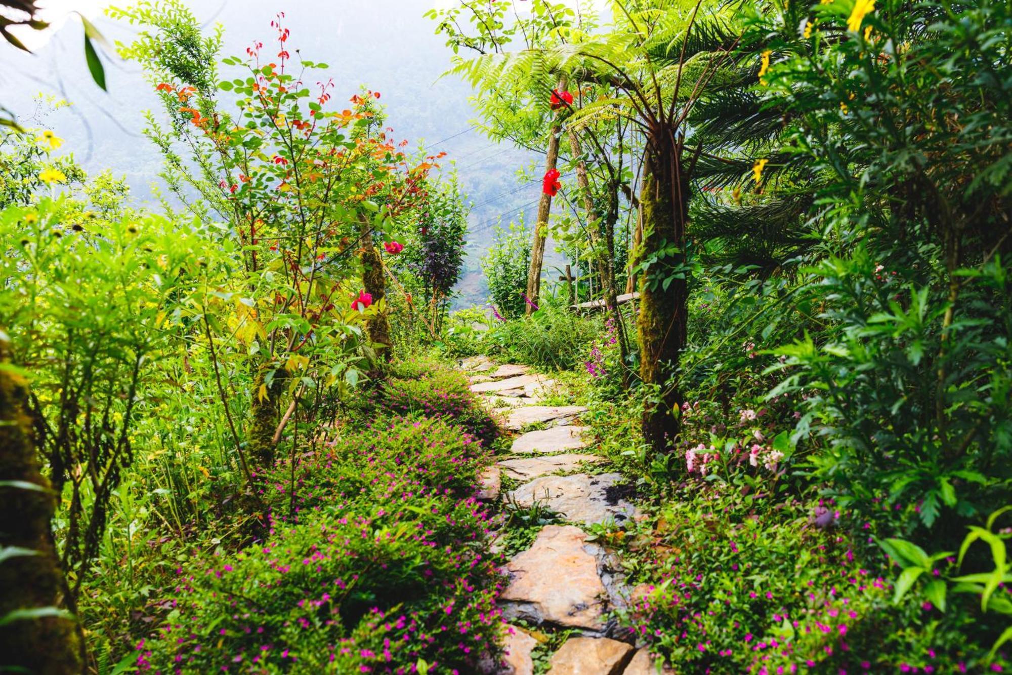 Homestay The Link